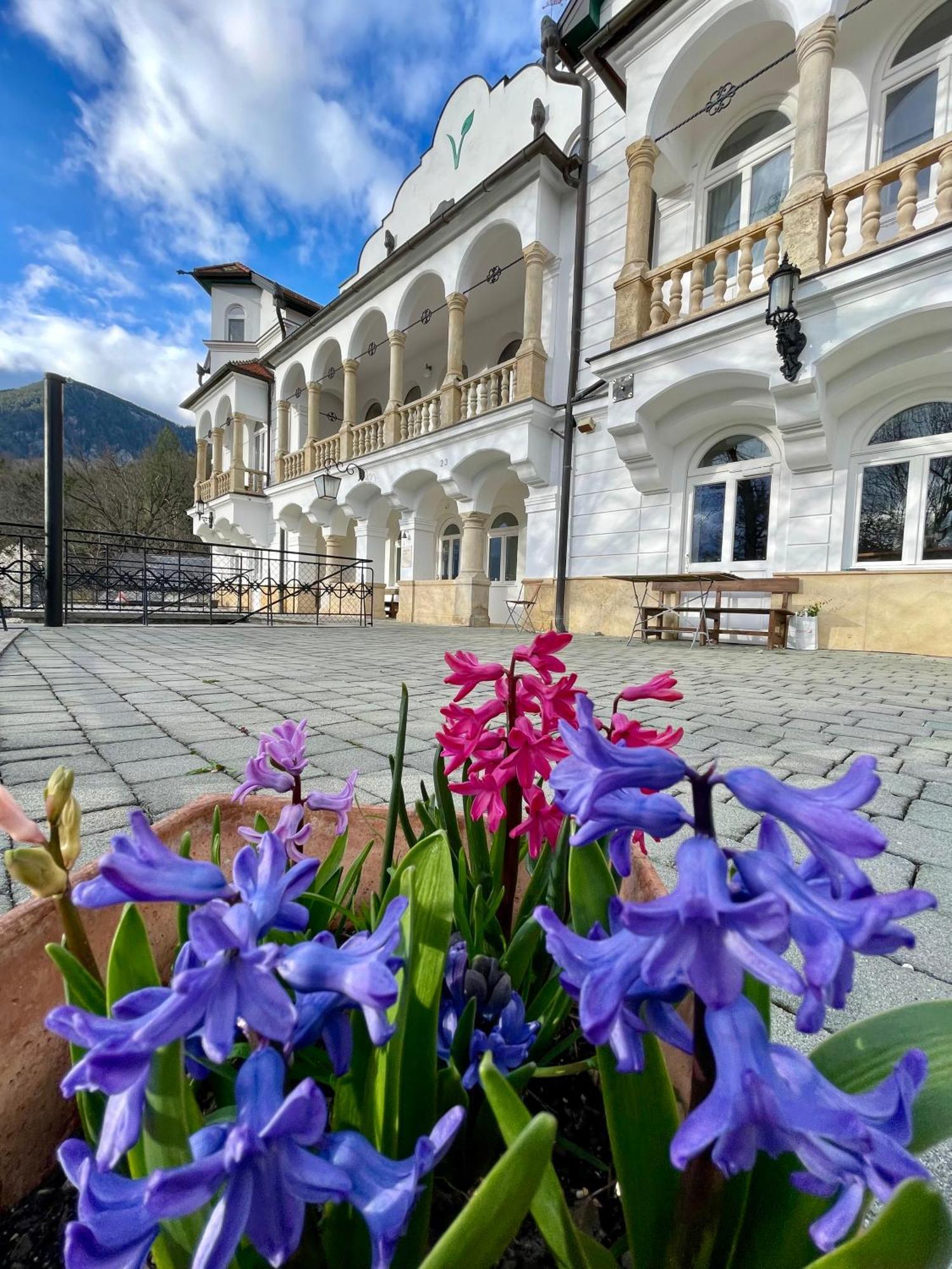 Aparthotel Waldschloessl Schneedoerfl à Reichenau Extérieur photo